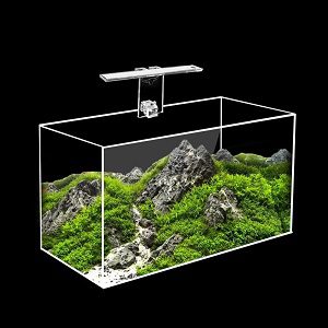 Home Planted Aquarium