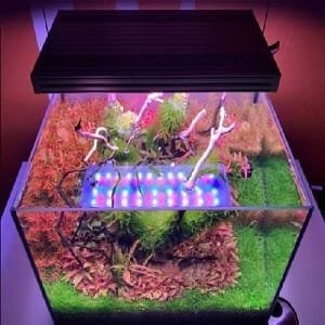 Aquarium WRGB Lights