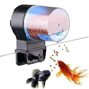 Fish Food Timer