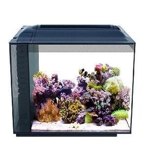 Home Marine Aquarium