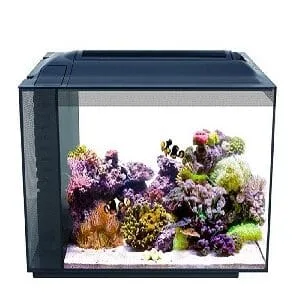 Home Marine Aquarium
