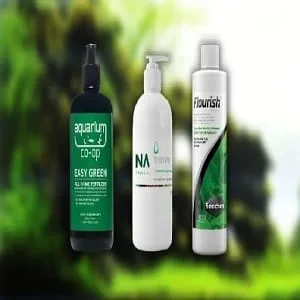 Plant Fertilizers